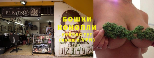 Альфа ПВП Богородск