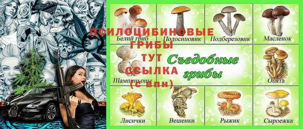 Альфа ПВП Богородск