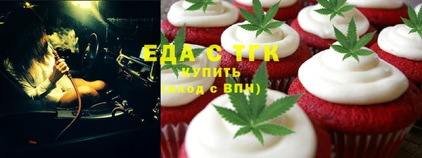 крисы Бородино