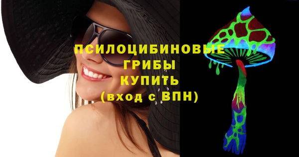 Альфа ПВП Богородск