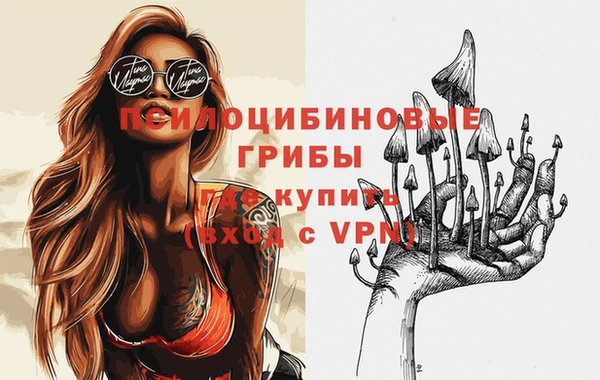 Альфа ПВП Богородск