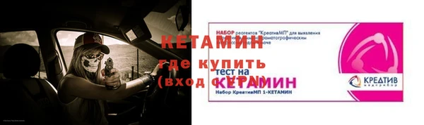 крисы Бородино