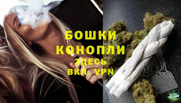 крисы Бородино