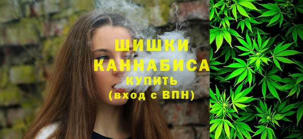меф Богородицк
