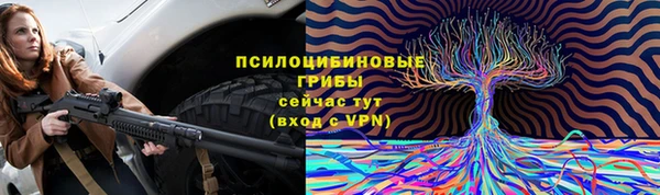 Альфа ПВП Богородск