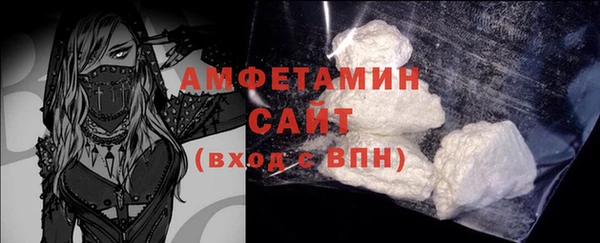 крисы Бородино