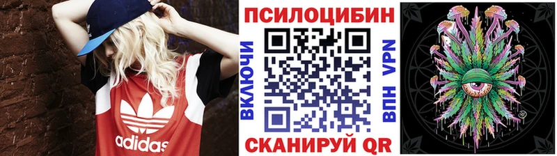 Галлюциногенные грибы Cubensis  Купить закладки  Мосальск 
